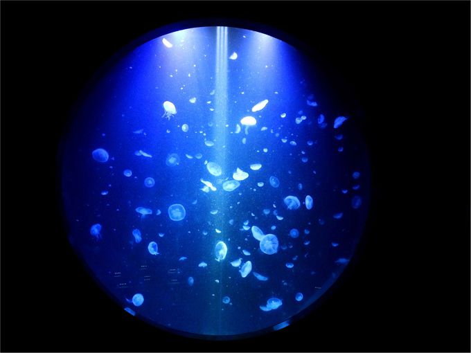 NQ̕!?Lȓ{Ĉ߂VoفI߉sΐ