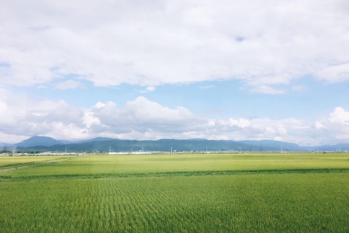 繊細優美な日本の良さ 山形県 庄内鶴岡の春夏の旅 山形県 Lineトラベルjp 旅行ガイド