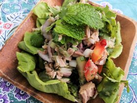 �������Ŗ{�i�^�C�̖������Z�Č��I����ʋl�Łu�����E�c�i�v��낤�̋L���T���l�C��