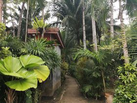 �W�����O���Ŗ򑐃T�E�i�̌��I�v�[�P�b�g�u�J�g�D�E�n�[�u�T�E�i�v�̋L���T���l�C��