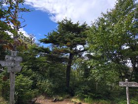 oRS҂ɂ߁Io育Ղ̓Ȗ،EԓR̋LTlC