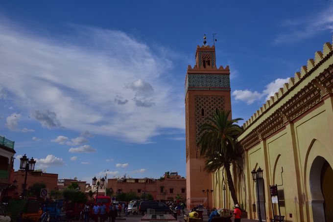 ���銈�C�Ɉ���W���}�E�G���E�t�i�L��i���s�X�j