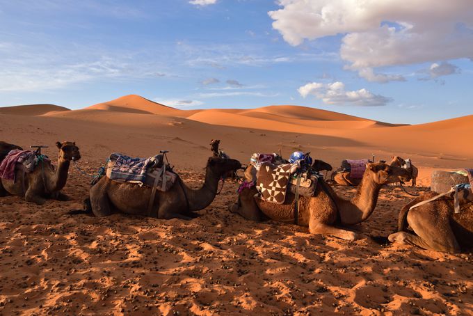 砂丘と空の美しいコントラスト・砂漠の風景