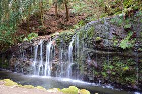 ������x���ӁA�R�E�΁E�ꂪ�y���߂���₵�̌���X�|�b�g�̋L���T���l�C��