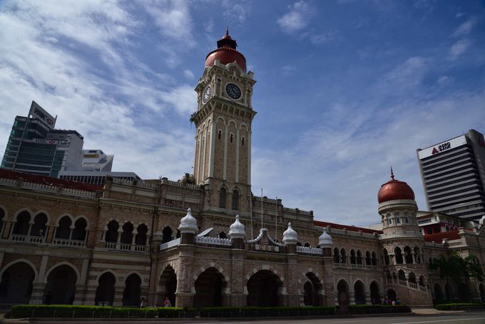 AM11:00 �}���[�V�A�Ɨ��̏d�v�ȕ��� �����f�J�X�N�G�A�Ǝ��ӎ{��