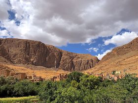 ~܂ȂIn̈Зe郂bR암̐i3I̋LTlC