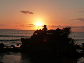 �C���h�l�V�A���s�̂������߃v�����́H��p��x�X�g�V�[�Y���A���������A�X�|�b�g���Ȃǂ�����I�̋L���T���l�C��