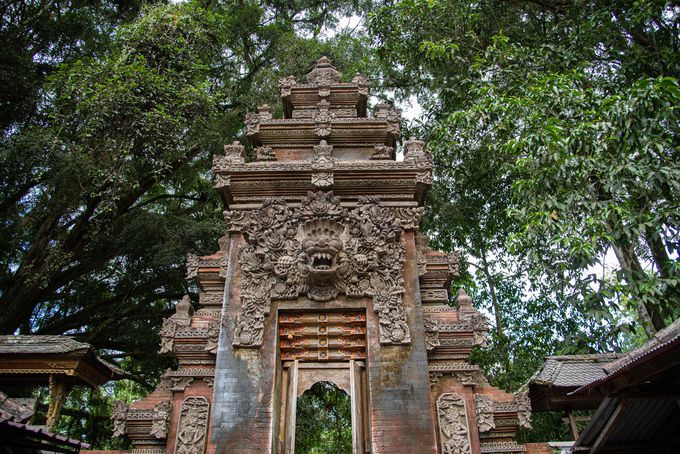 木々が神聖さを演出するお寺の入り口