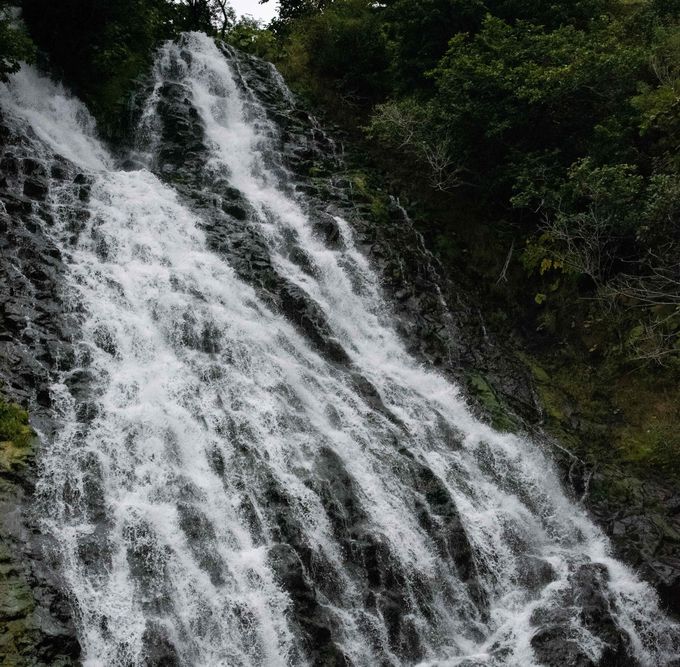 �s���2���̗��ꂪ�S���� �I�V���R�V���̑�