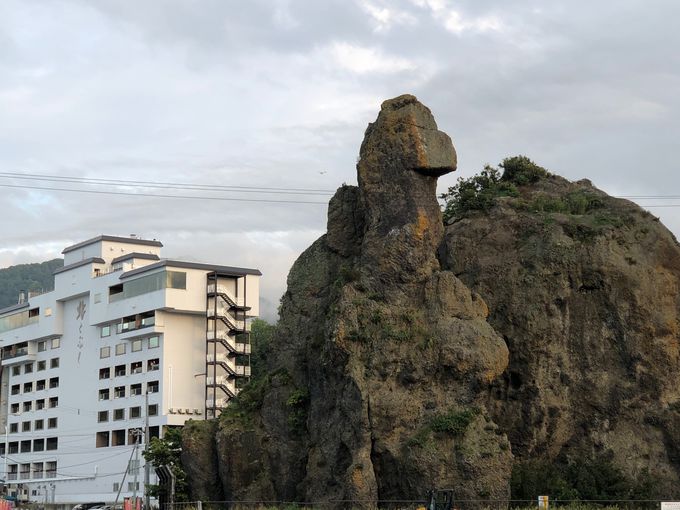 �E�g����2���� �I�����R��ƃS�W����