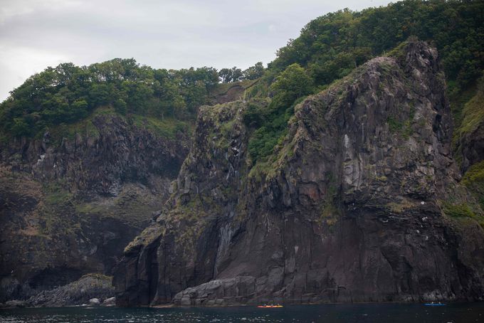 ���͋Ïk�I �q�O�}�E�H�b�`���O���ł���l�C�`���[�N���[�Y