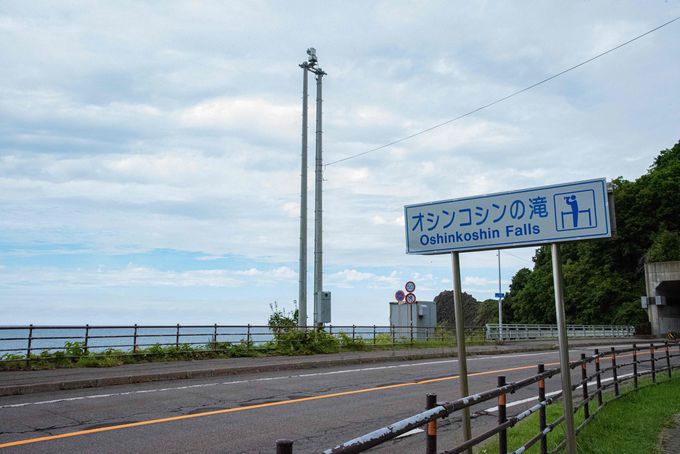 �s���2���̗��ꂪ�S���� �I�V���R�V���̑�