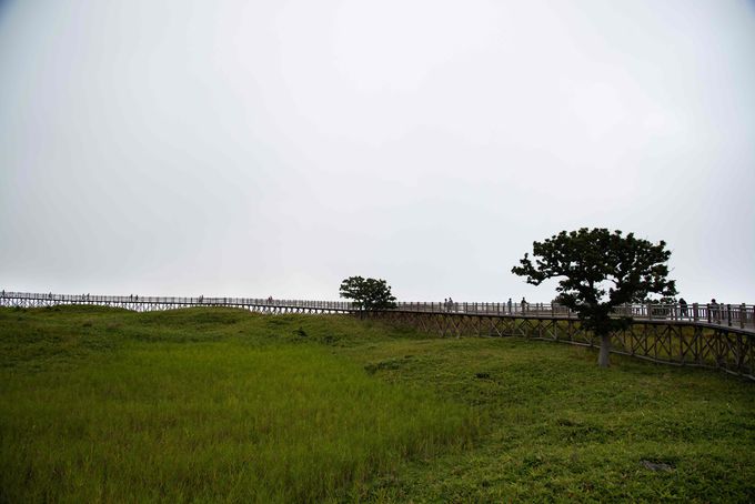 �q�O�}�ɒ��ӁI�������Z�Ȓm���܌΂̎U���H