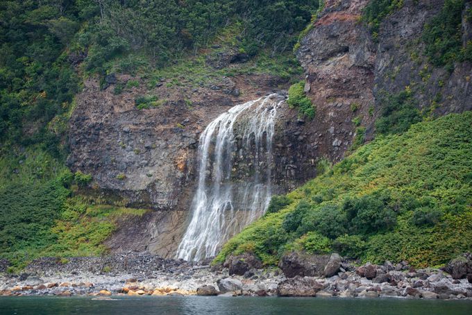 ���͋Ïk�I �q�O�}�E�H�b�`���O���ł���l�C�`���[�N���[�Y