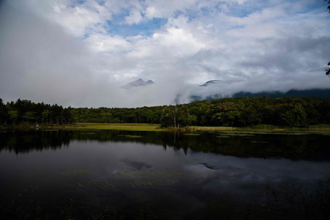 �q�O�}�ɒ��ӁI�������Z�Ȓm���܌΂̎U���H