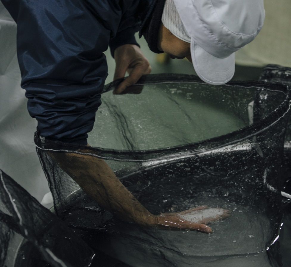 ԂƉxǗdvIH~ɂčs𑢂