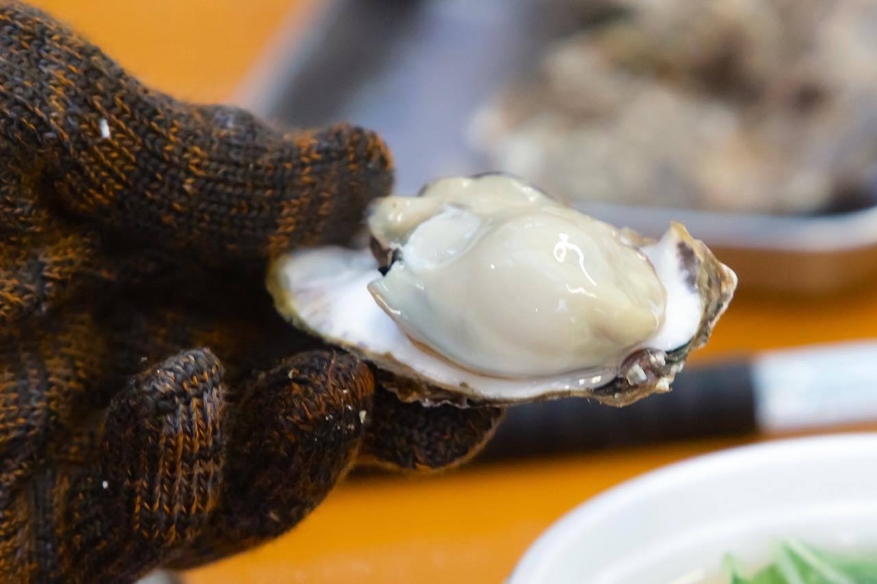 広島・宮島「かき水揚げ体験」島田水産の新鮮な牡蠣を堪能！