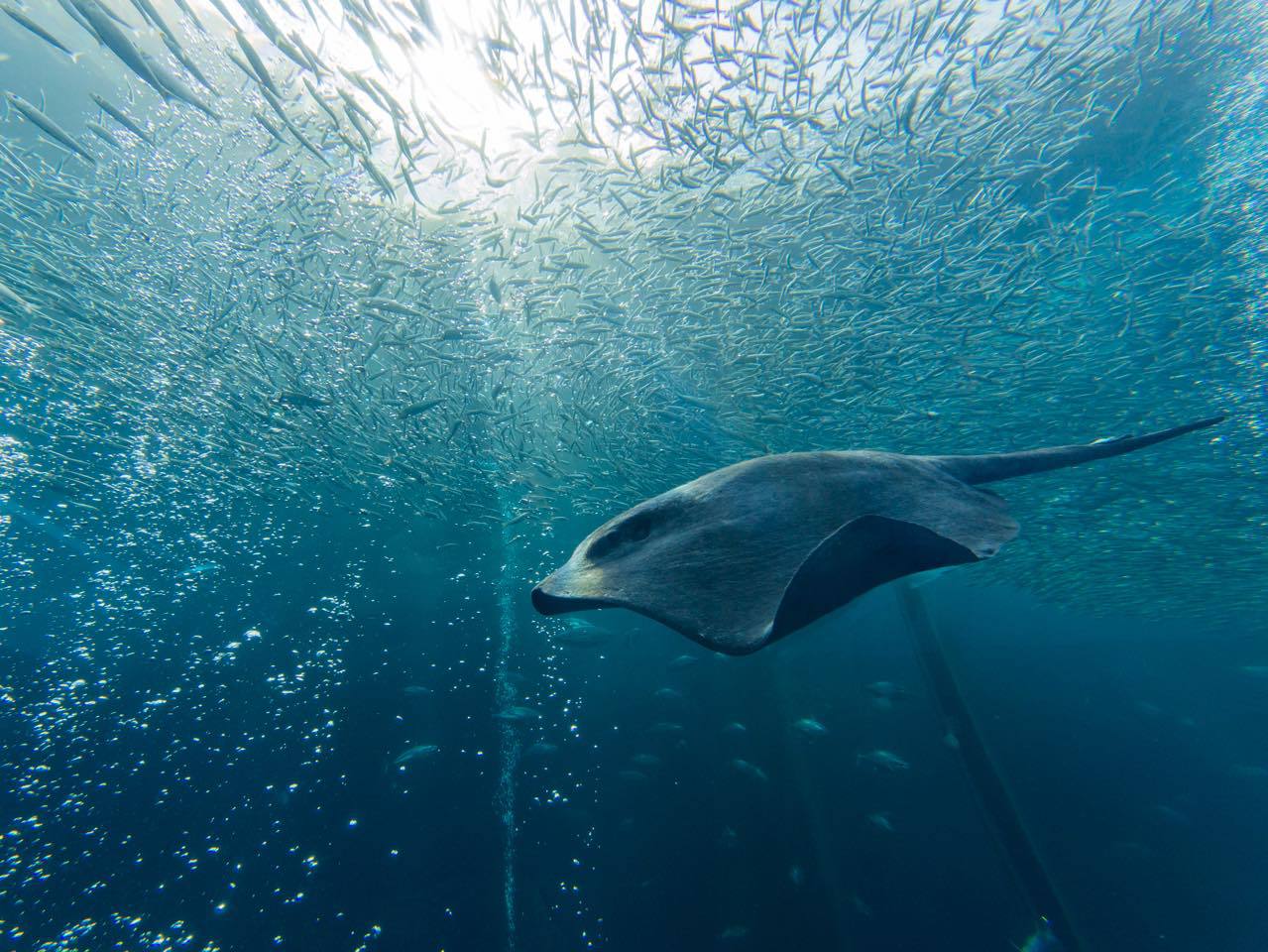 ƈႤ̕\tB[fBO^C