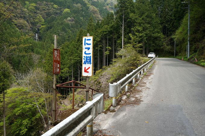 神秘の滝壺を探しに行こう にこ淵 高知県いの町 高知県 Lineトラベルjp 旅行ガイド
