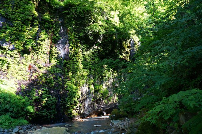 青と緑の絶景スポット 栃木の秘境 おしらじの滝とスッカン沢 栃木県 トラベルjp 旅行ガイド