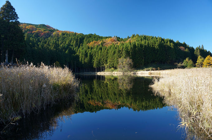 奈良 宇陀の山あいに景色が溶け込む神秘的な鏡の池 龍王ヶ渕 奈良県 Lineトラベルjp 旅行ガイド