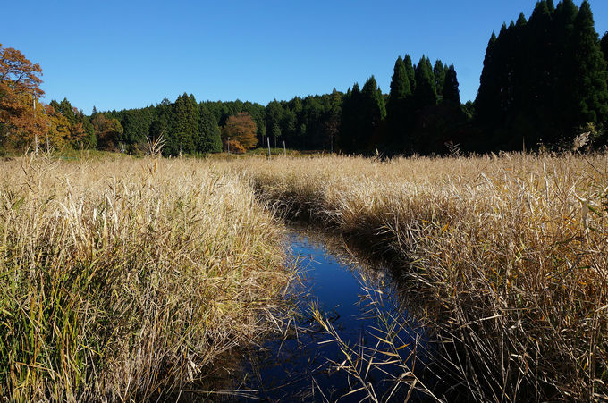 奈良 宇陀の山あいに景色が溶け込む神秘的な鏡の池 龍王ヶ渕 奈良県 Lineトラベルjp 旅行ガイド