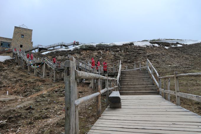 _߂ɁIv킸̂ޒォ̐i