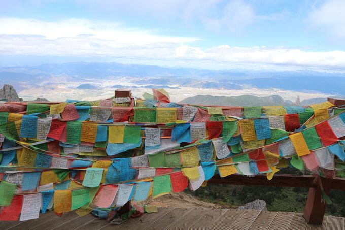 _߂ɁIv킸̂ޒォ̐i