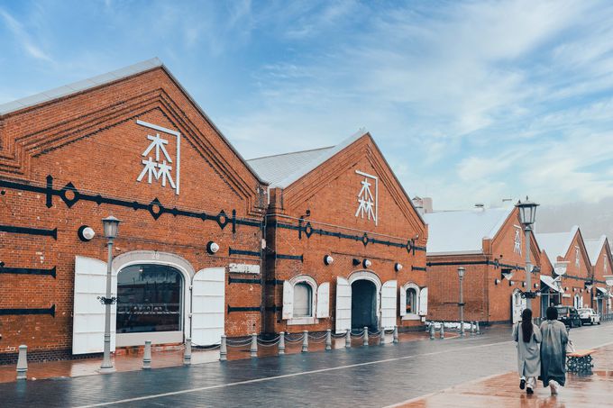 XƊyݐs̃ANeBreBuGO-KINJOv