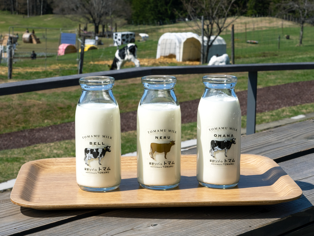 ǂ̌⋍̈ݔׂłu[[wZv