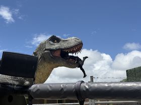 uWOAṽAgNVŖ`Ƌ̃p[oJXI̋LTlC