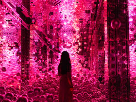 {JiIu`[{ oCIHebNX sv̖