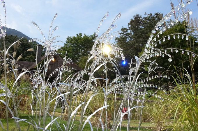 �H���v�����̓��T�`�|�p�ƃX�C�[�c�łȂ���H�̂��y����