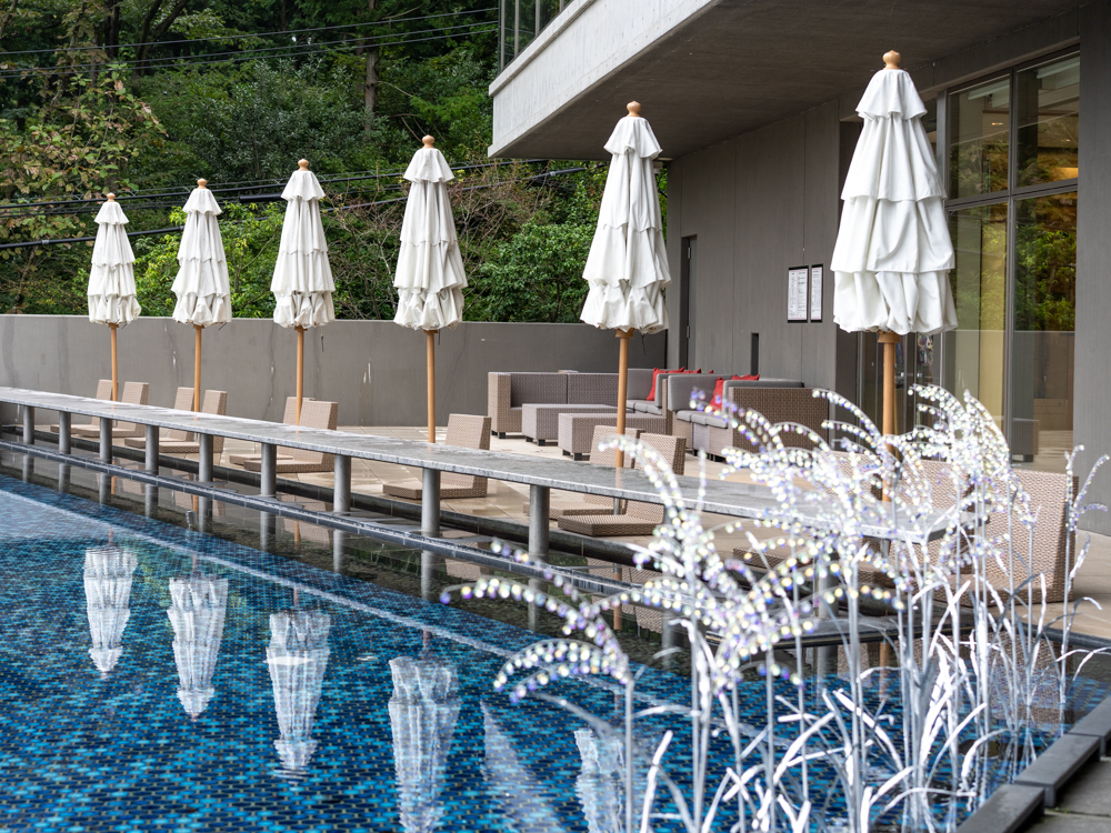 �u���Ճe���X�v�ŃL���L���Ɨh���N���X�^���E�K���X�̃X�X�L