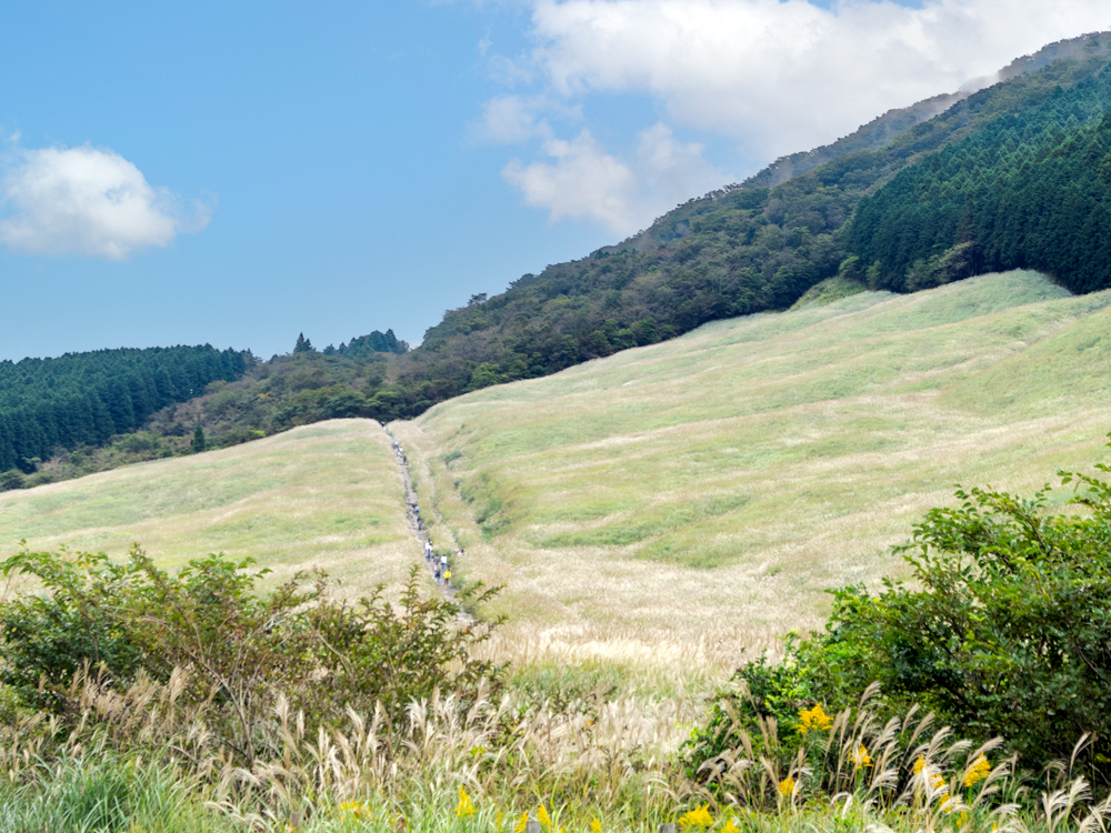 �u���Ճe���X�v�ŃL���L���Ɨh���N���X�^���E�K���X�̃X�X�L