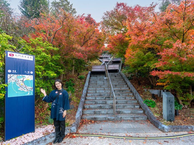 ����X�̐�i����������Ɣ����Ȃ�a���H