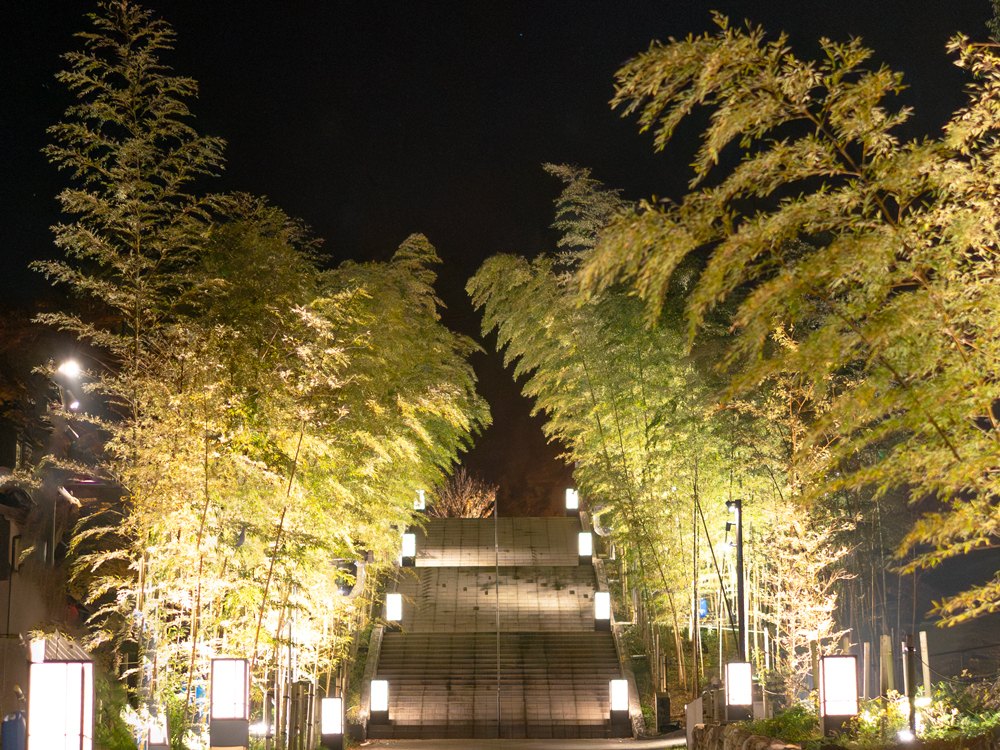 ����X�̐�i����������Ɣ����Ȃ�a���H