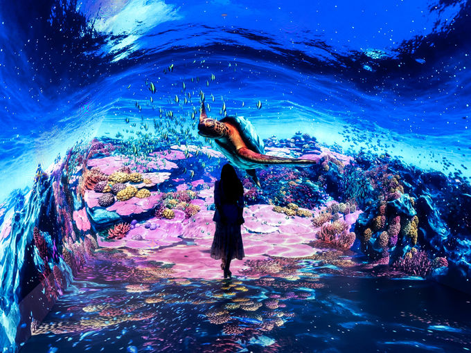 �܊��ŏ���v���^�̌��̐��E