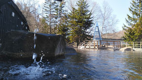 �k�C���̉���ƃO�����ŉ^�C�A�b�v�I�u�΂̕����]�[�g�����䂴��v�ŊJ�^�X�e�C�̋L���T���l�C��