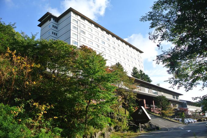 x͔܂Ă݂u΂̕][g䂴v