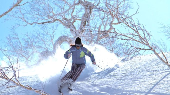 札幌に一番近いパウダー天国！キロロで新雪スキーを満喫