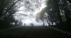 bRŏ򉻁IőIԔb̊J^X|bg̋LTlC