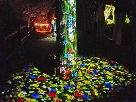 定山渓「章月グランドホテル」札幌の夏を楽しむための大人の時間割