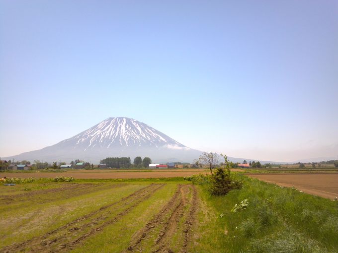 DyRk̃GlM[[giイ݂ႭjT