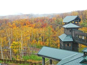 Dyu삷uˌv̐iEgtX|bg̋LTlC