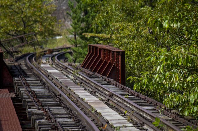 ܂Ō̂悤Ɏc鏼؊X؎ӂ̓S\