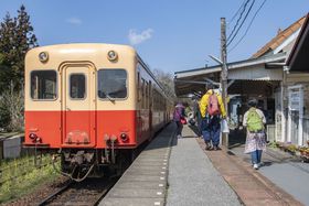 吳珺a̍cucv̗jIwɂ낤̋LTlC