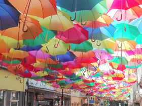 |gKECX^fX|bg9Iyʐ^tzJtȊX݂JCCI̋LTlC