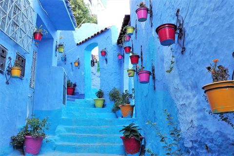 3�����x�X�g�V�[�Y���̊C�O���s�� ��������10�I�y2026�z�̋L���T���l�C��