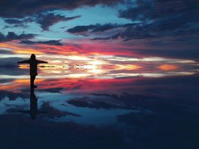 �ꐶ�Ɉ�x�͌�������i�I�E���j���΁u�V��̋��v���y���ޕ��@�̋L���T���l�C��